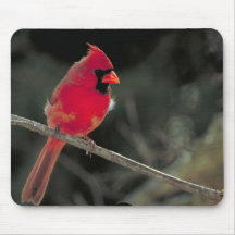 Cardinal Mouse Pad
