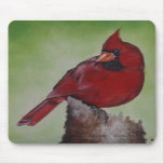 Cardinal Mousepad