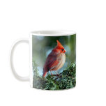 Cardinal mug