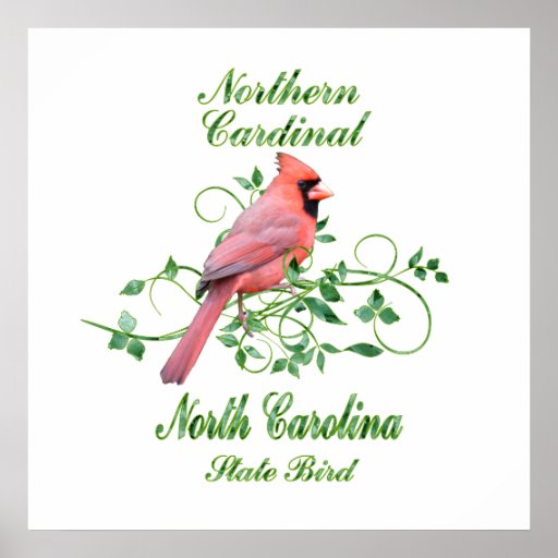Cardinal North Carolina State Bird Posters