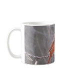 Cardinal on barbed wire mugs