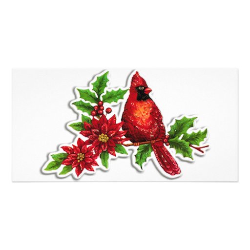 cardinal on holly vine personalized photo card