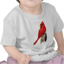 Cardinal on Post