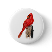 Cardinal on Post
