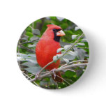 Cardinal Portrait Button