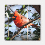 Cardinal Portrait Magnet