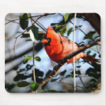Cardinal Portrait Mousepad
