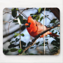 Cardinal Portrait Mousepad
