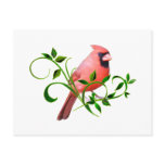 Cardinal Post Card