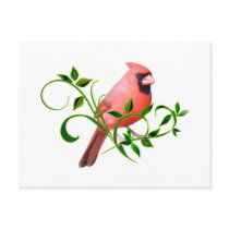 Cardinal Post Card