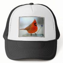 Cardinal Red Bird Trucker Hats