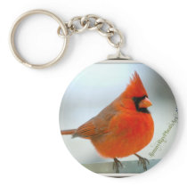 Cardinal Red Bird Keychains