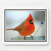 Cardinal Red Bird Mouse Mat