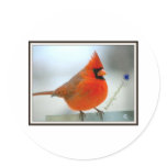 Cardinal Red Bird Round Stickers