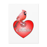 Cardinal Red Heart Postcard