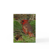 Cardinal sharing lunch with a friend