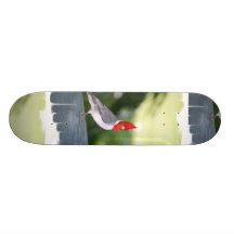 Cardinal  Skateboard