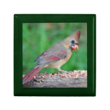 CARDINAL SOUP TRINKET BOX