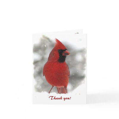 Cardinal Thank You by Bebops