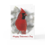 Cardinal Valentine