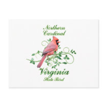Cardinal Virginia State Bird Postcards