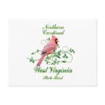 Cardinal West Virginia State Bird Post Cards