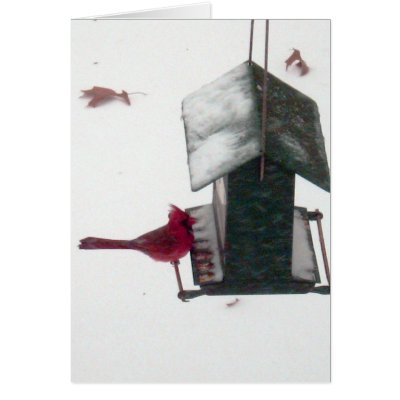Cardinal Winter Birdhouse by Nishna