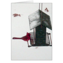 Cardinal Winter Birdhouse
