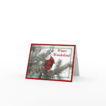 Cardinal Winter Wonderland