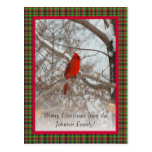 Cardinal with frame postcard