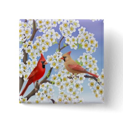 Cardinals in Flowering Tree Button by twopurringcats