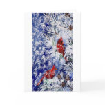 Cardinals In Snow