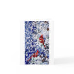 Cardinals In Snow