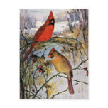 Cardinals in Winter Post Card