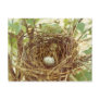 Cardinal's Nest Postcard