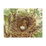 Cardinal's Nest Postcard