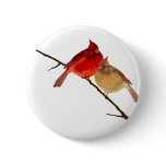 cardinals on a branch pinback button