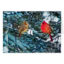 Cardinals winter love,cards