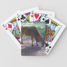 Cards for Sale Playing Cards