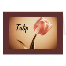 Cards, Tulip Peach and Mango,