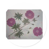 Cards with painted flowers round stickers