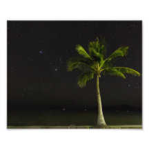 Cardwell palm photograph