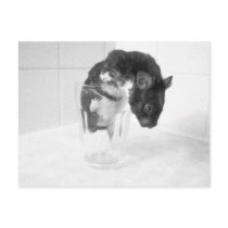 Care for a drink?? postcards