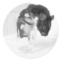 Care for a drink? round stickers