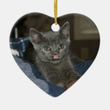 Care for Lazarus Ornament