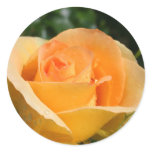 Carefre Sunshine Round Stickers
