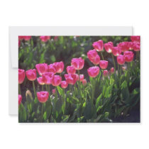 Carefree And Caring Pink Invites