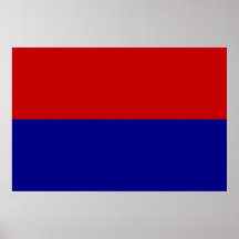 Carei, drapeau de la Roumanie Affiches