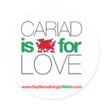 CARIAD STICKERS