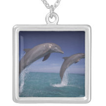 Caribbean, Bottlenose dolphins Tursiops 8 Personalized Necklace